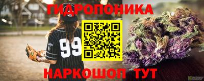 гидра Рузаевка